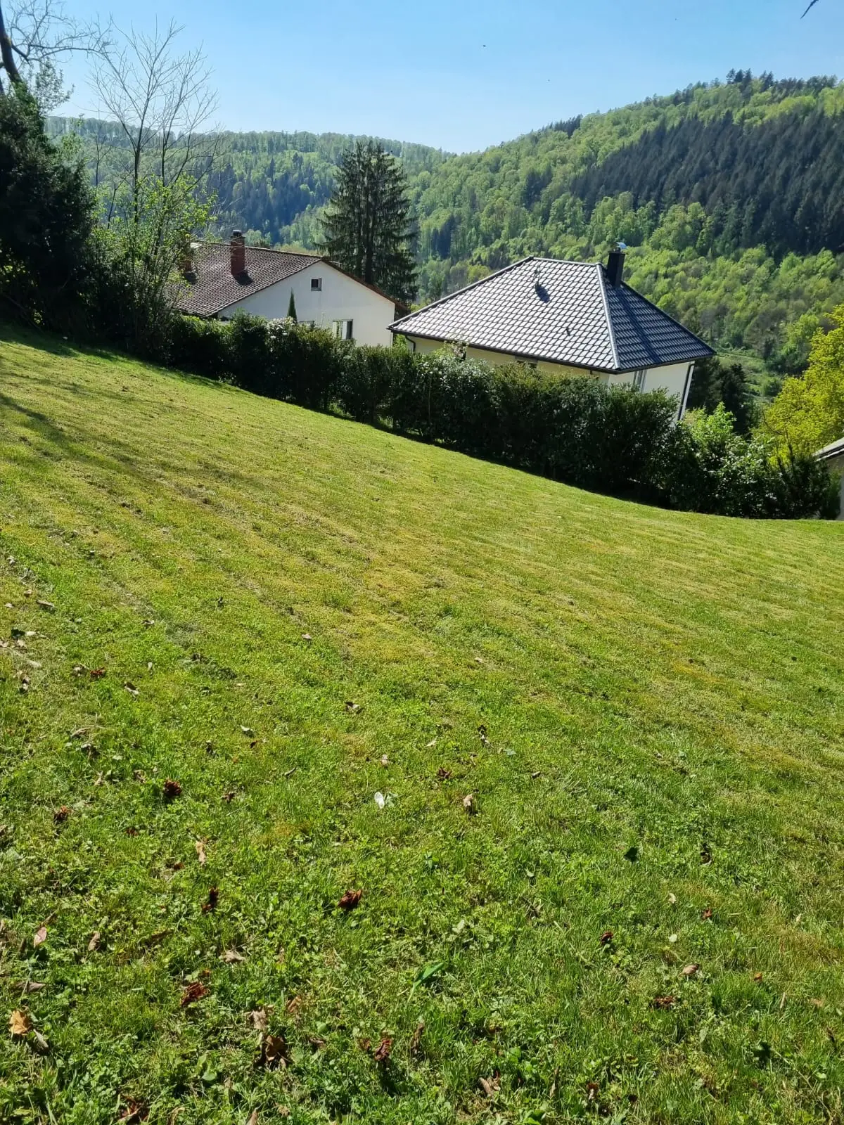 Gartenpflege – Referenz
