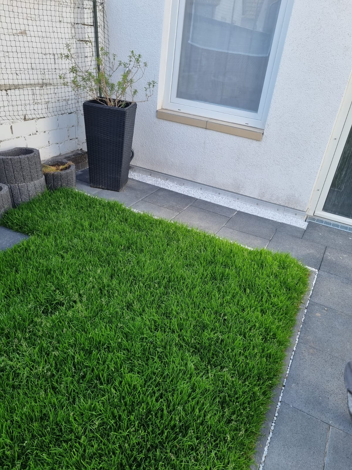 Rollrasenverlegung Neckargemünd – Referenz